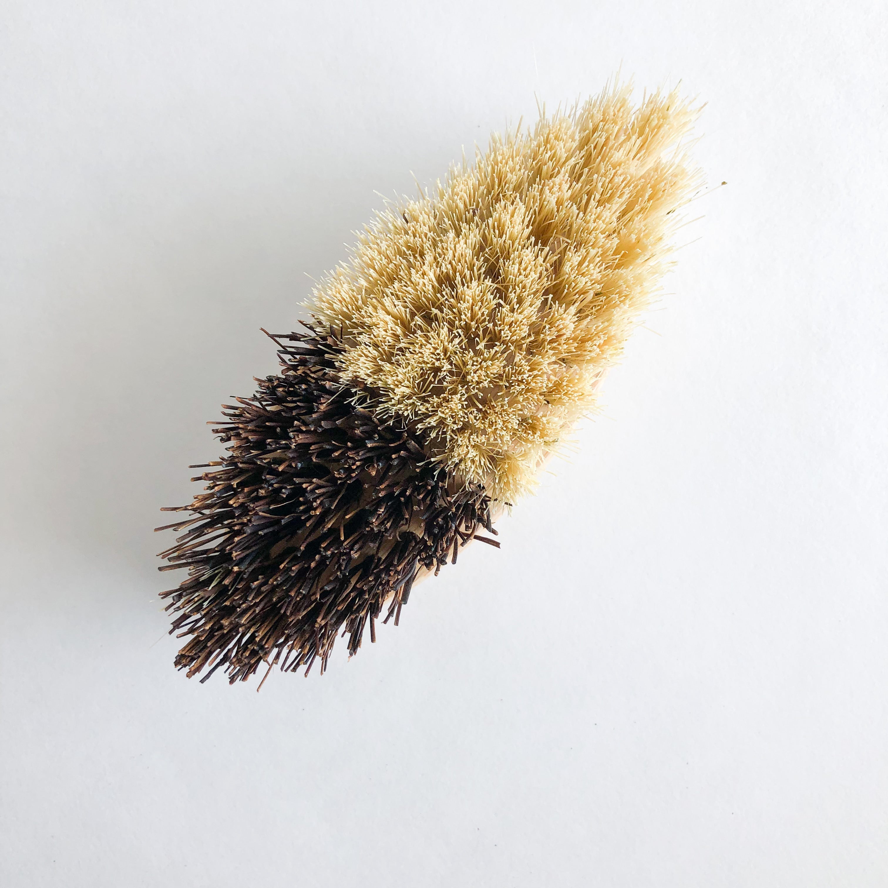 Handcrafted Natural Wood Sisal/Palm Fiber Vegetable Brush- Kitch... - Modern ...