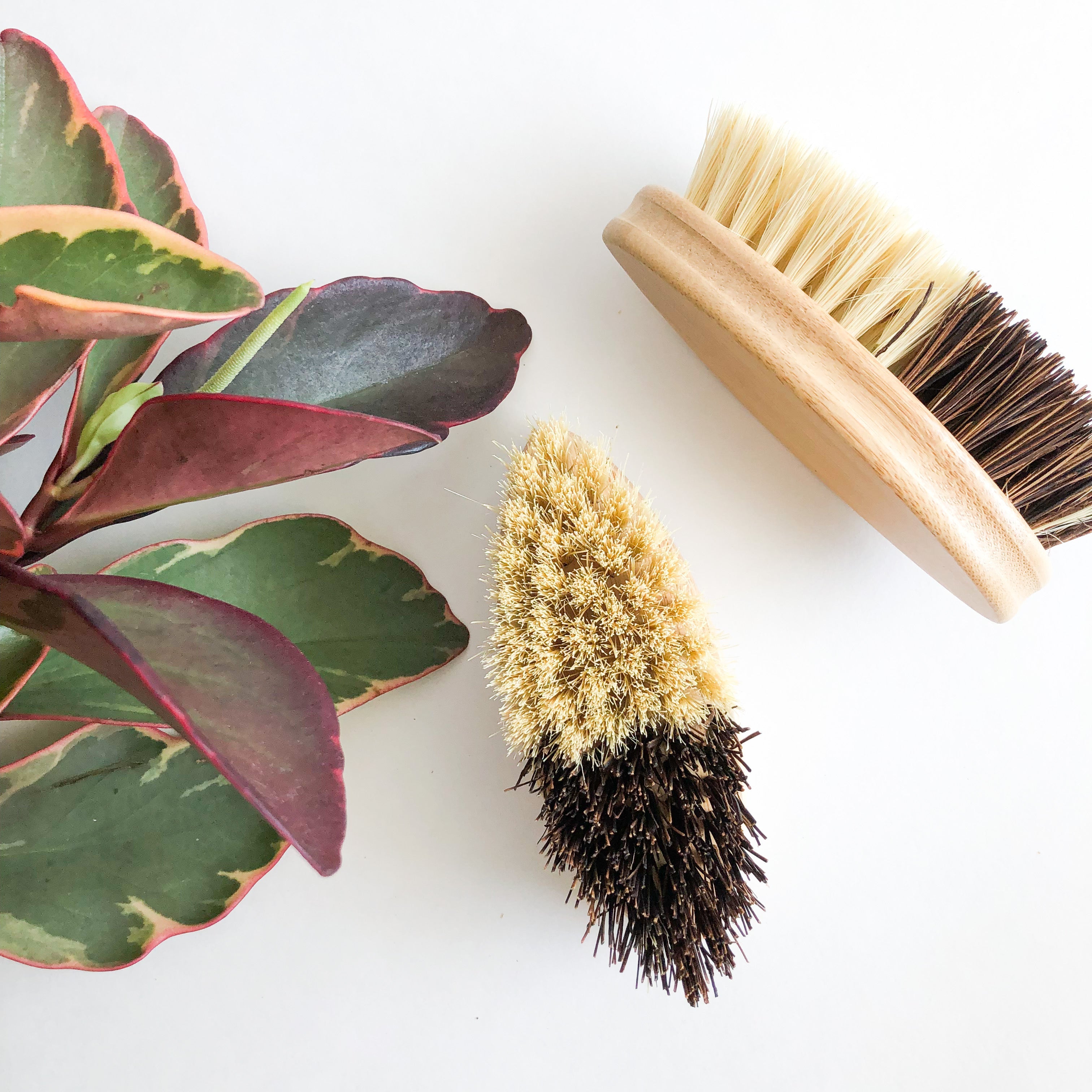 Handcrafted Natural Wood Sisal/Palm Fiber Vegetable Brush- Kitch... - Modern ...