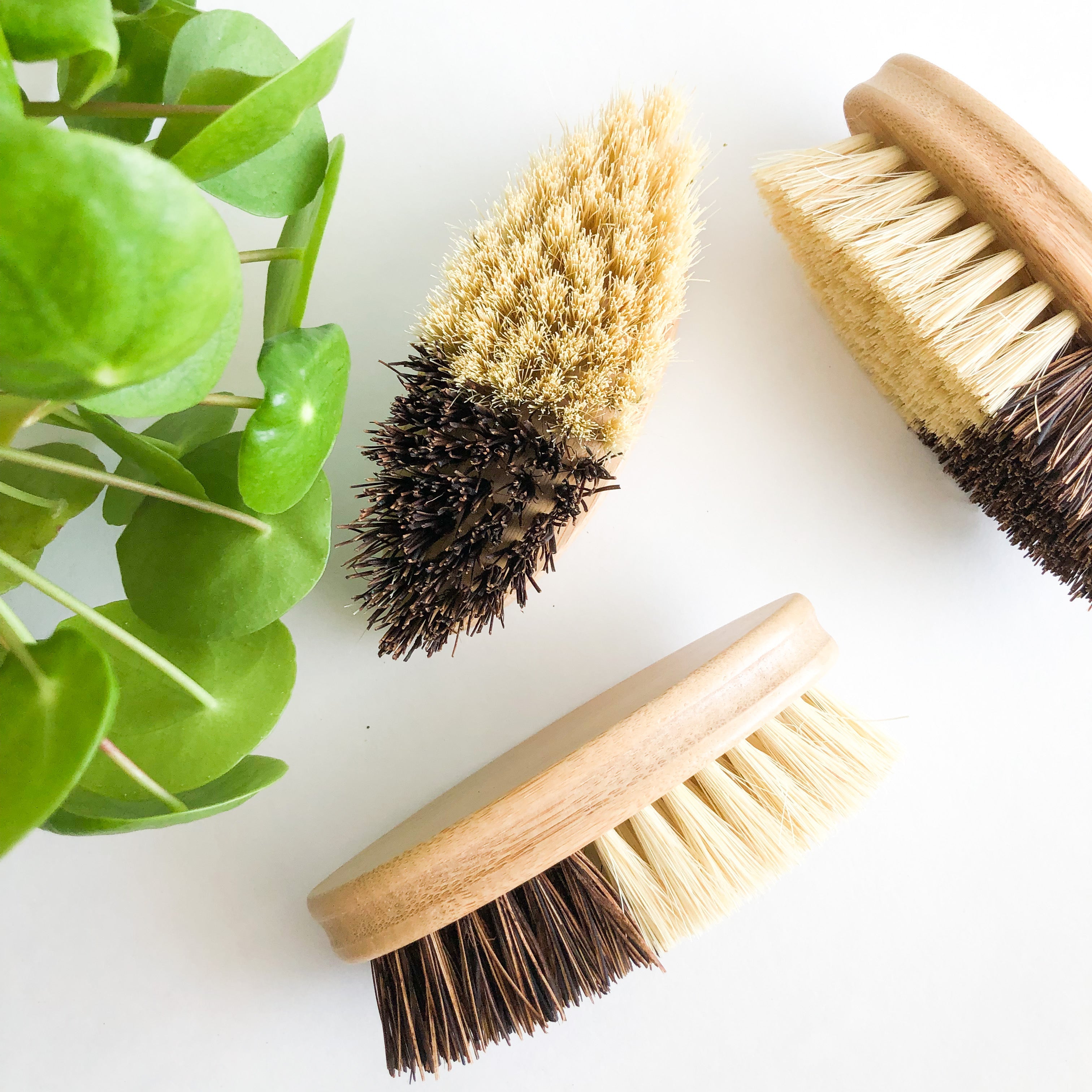 Handcrafted Natural Wood Sisal/Palm Fiber Vegetable Brush- Kitch... - Modern ...