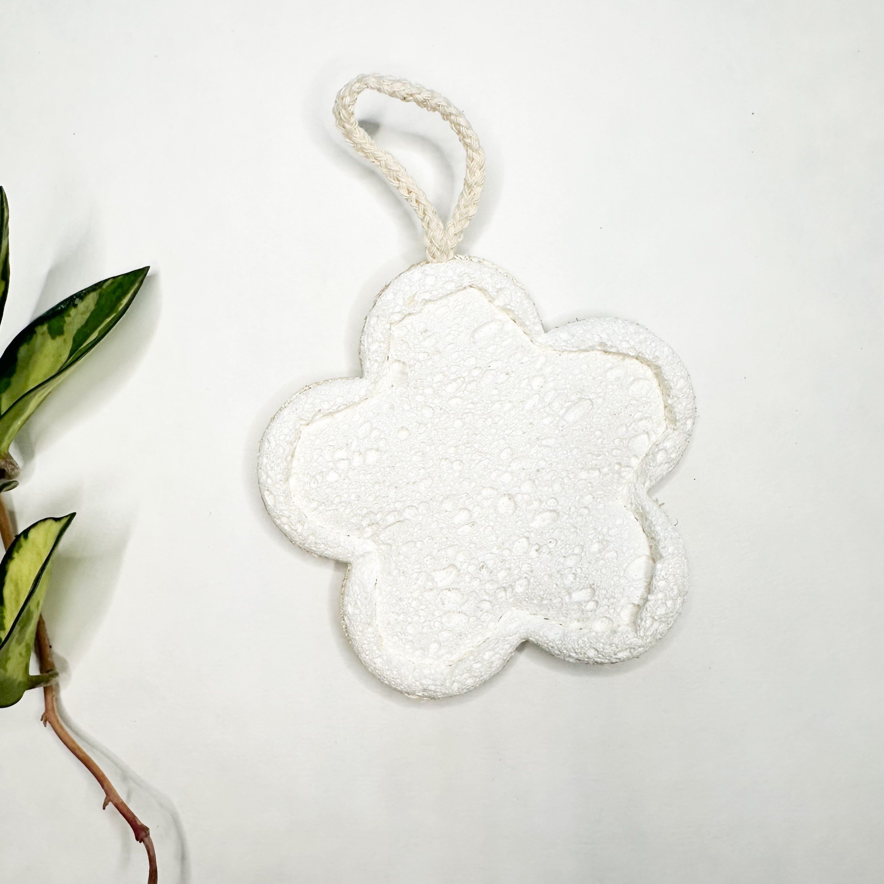 Loofah & Cellulose Sponge – Gentle & Effecti... - Plastic-Free Natural Wood D...