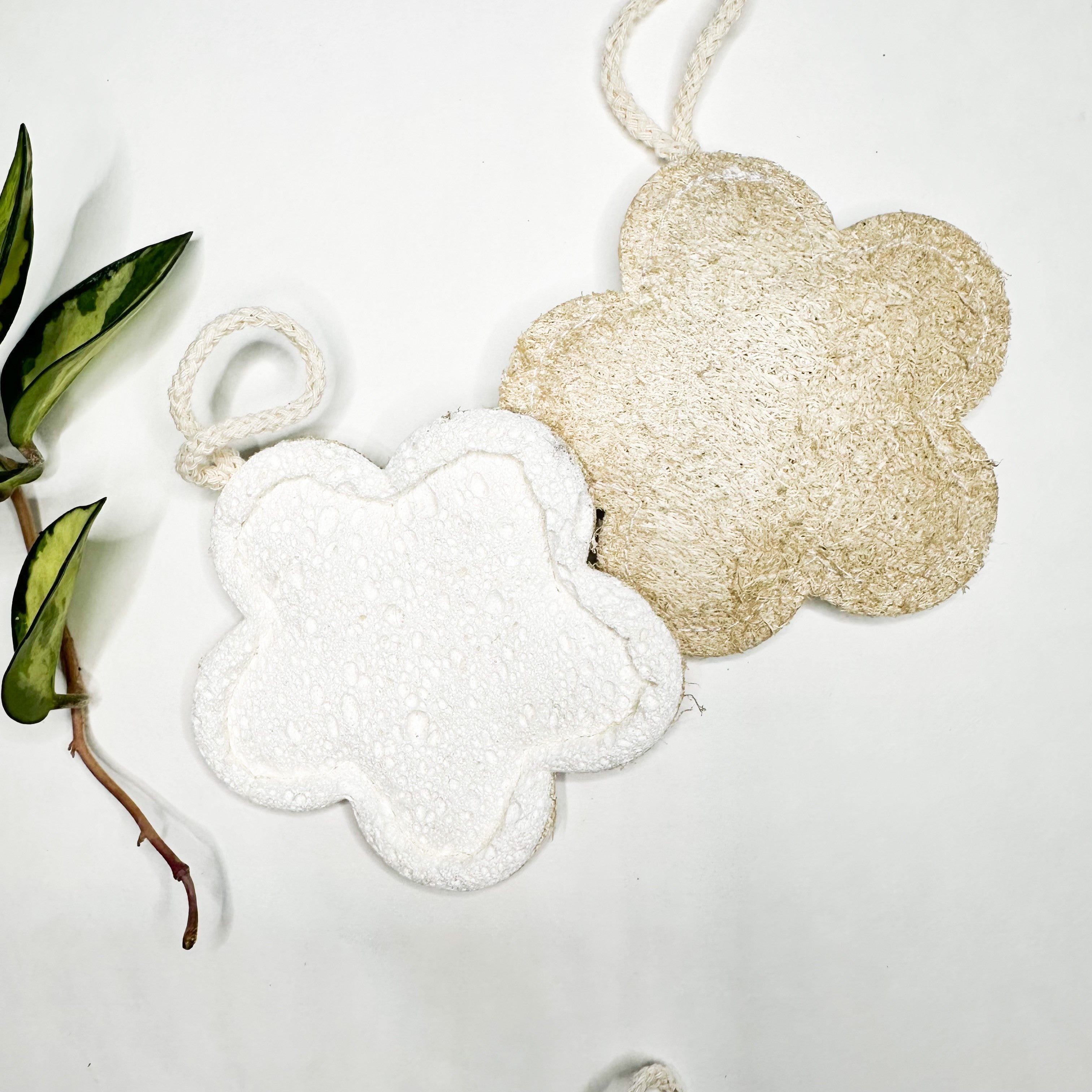 Loofah & Cellulose Sponge – Gentle & Effecti... - Plastic-Free Natural Wood D...