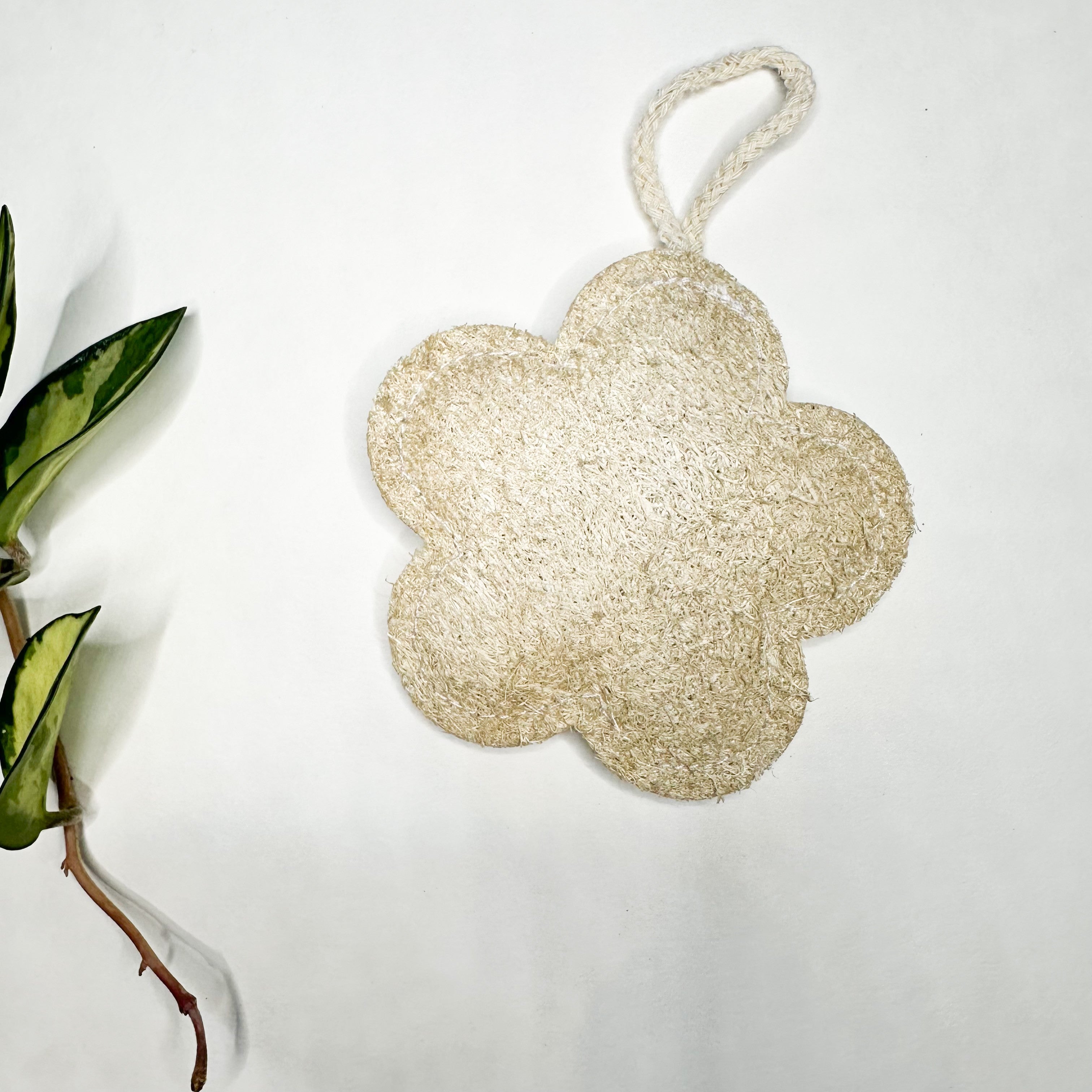 Loofah & Cellulose Sponge – Gentle & Effecti... - Plastic-Free Natural Wood D...