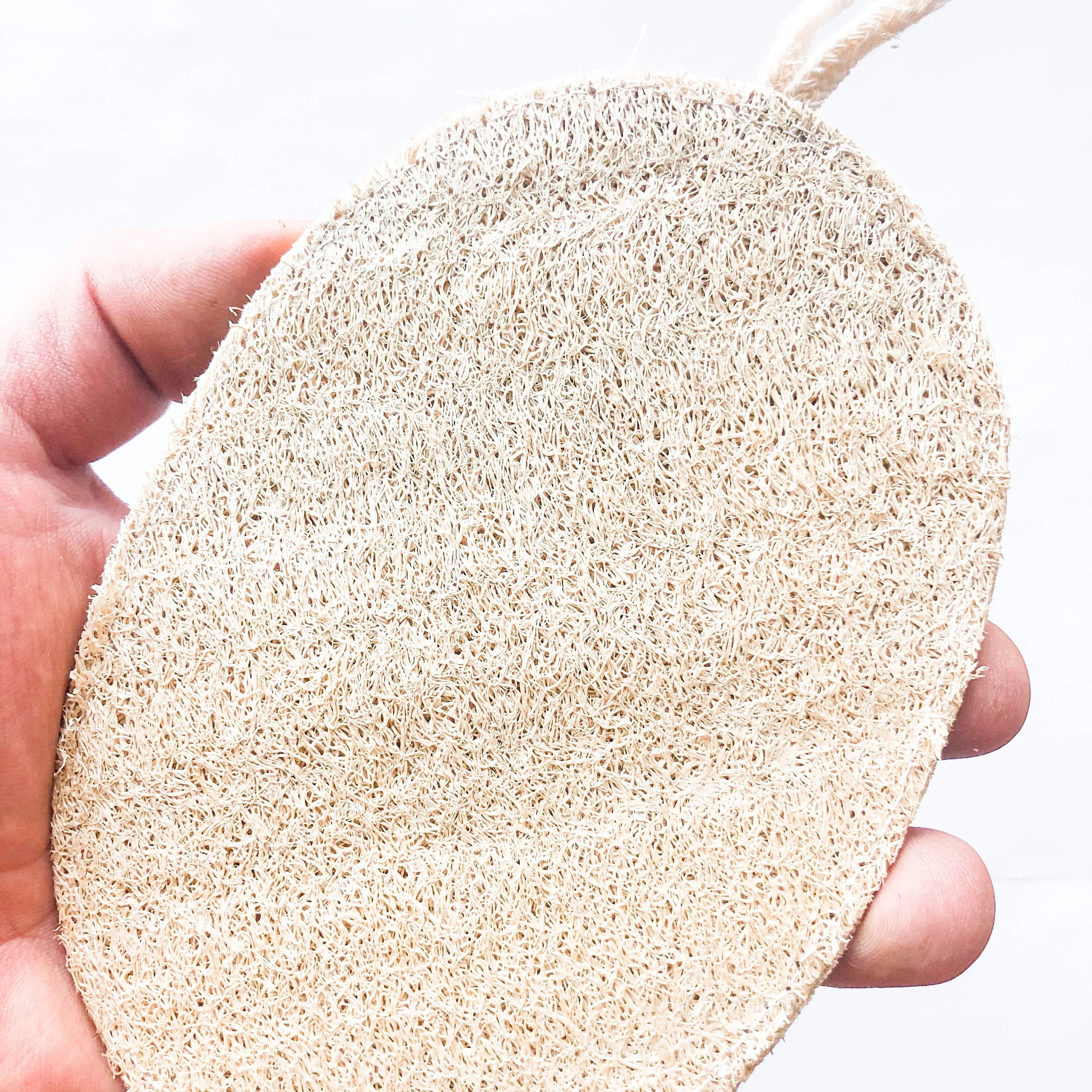 Organic Natural Wood Loofah Sponge- Sustainable Bath & Body Spong... | Eco-Fr...
