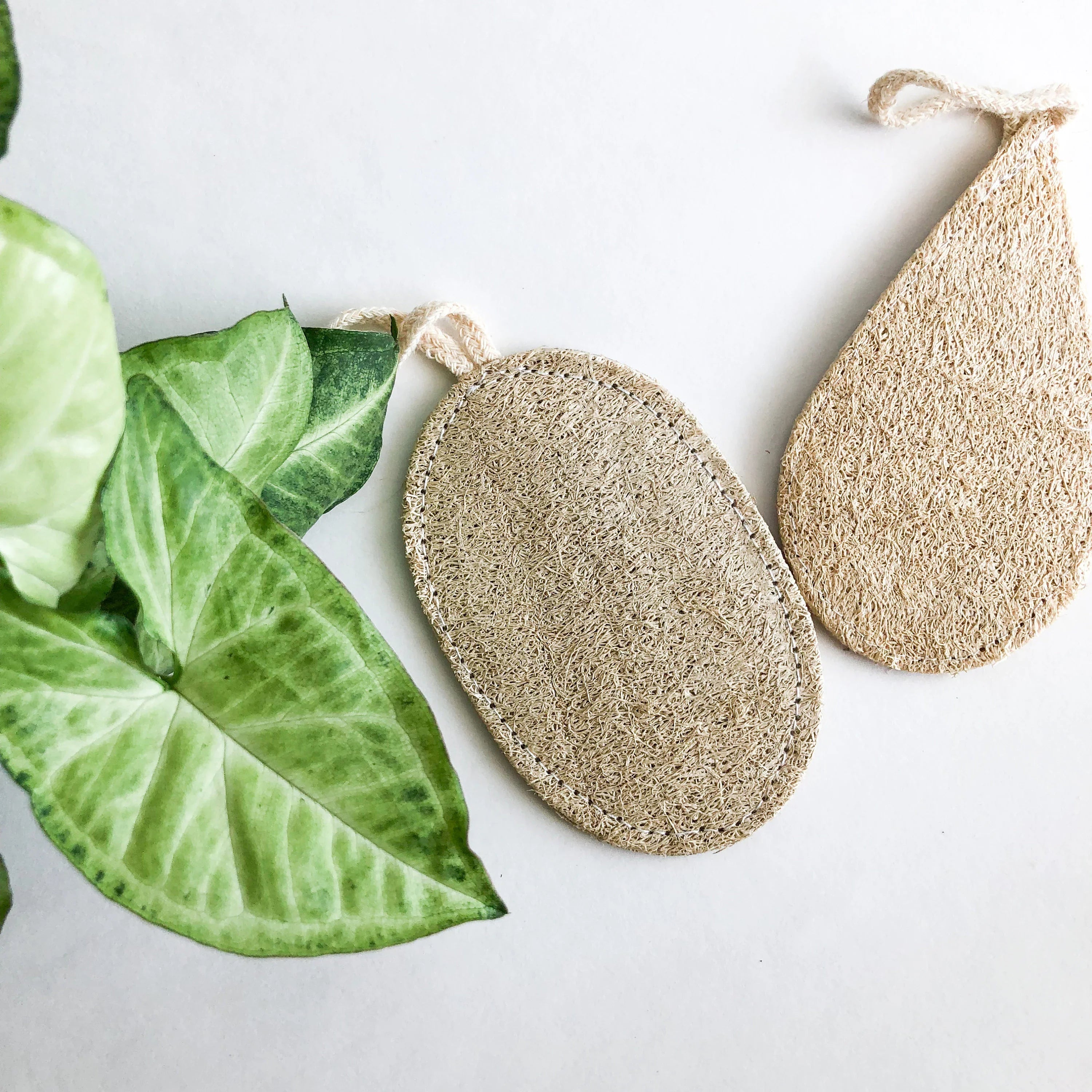 Biodegradable Loofah Sponge - Handcrafted Natural Wood Design
