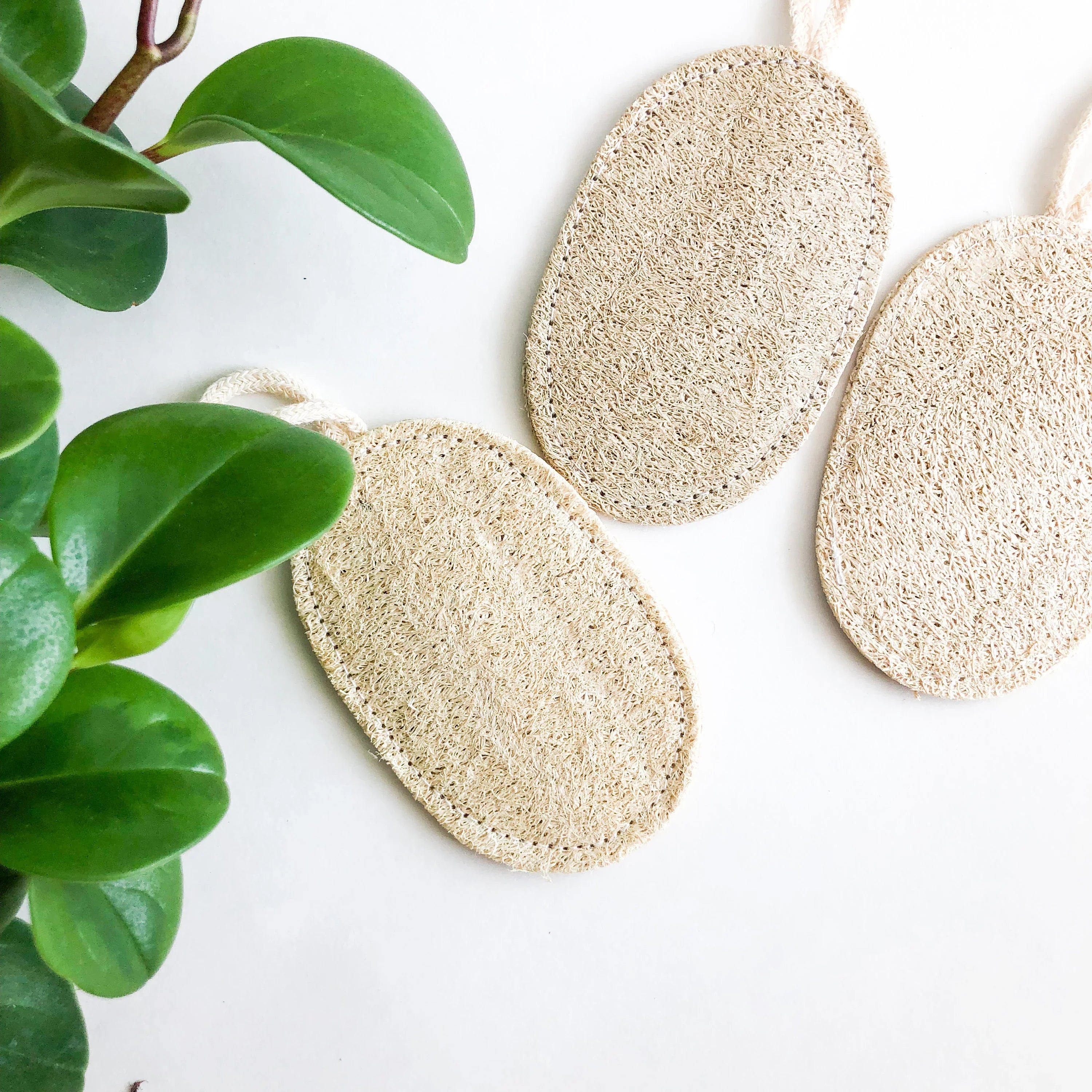 Biodegradable Loofah Sponge - Handcrafted Natural Wood Design