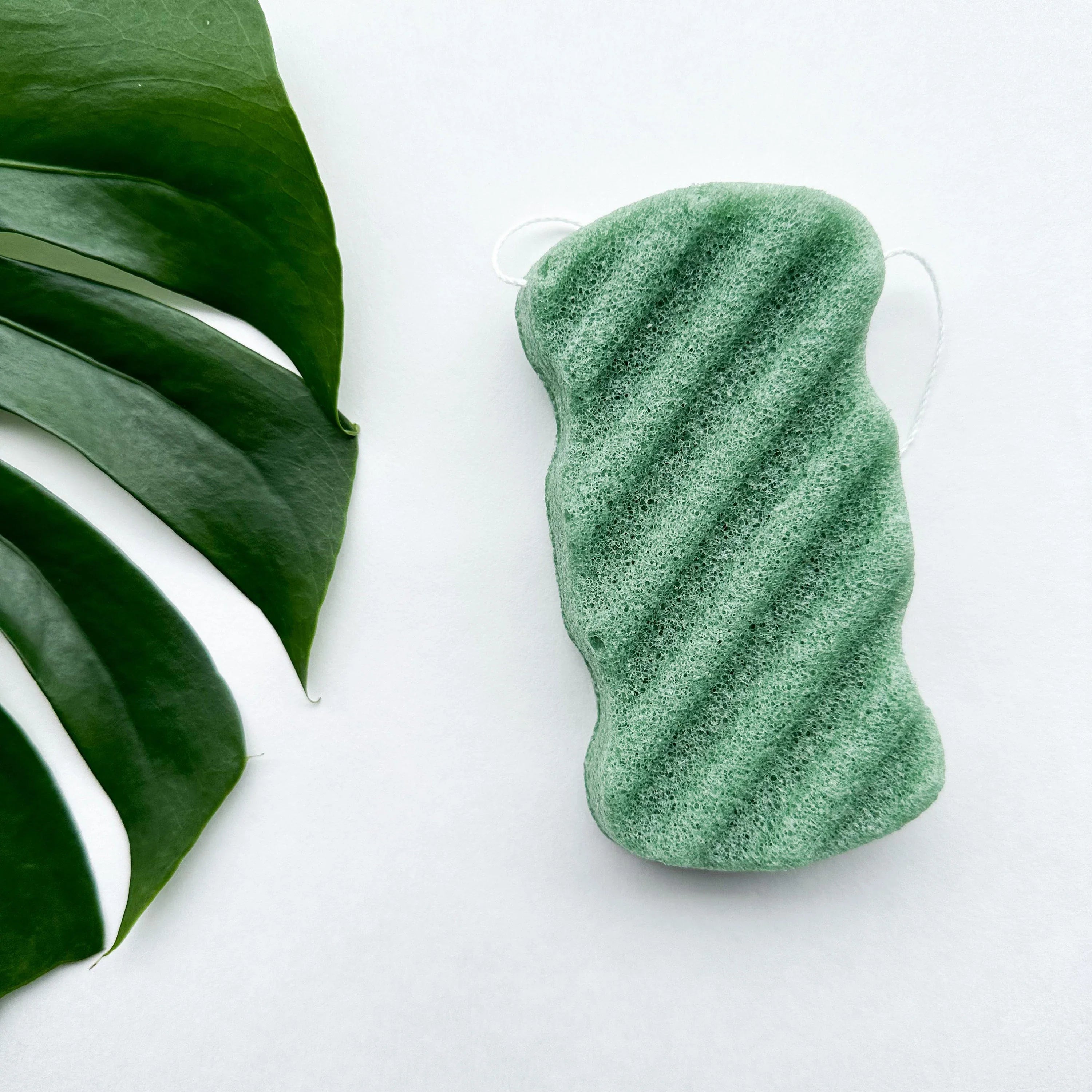 Konjac Body Sponge - Zero Waste Natural Wood Design