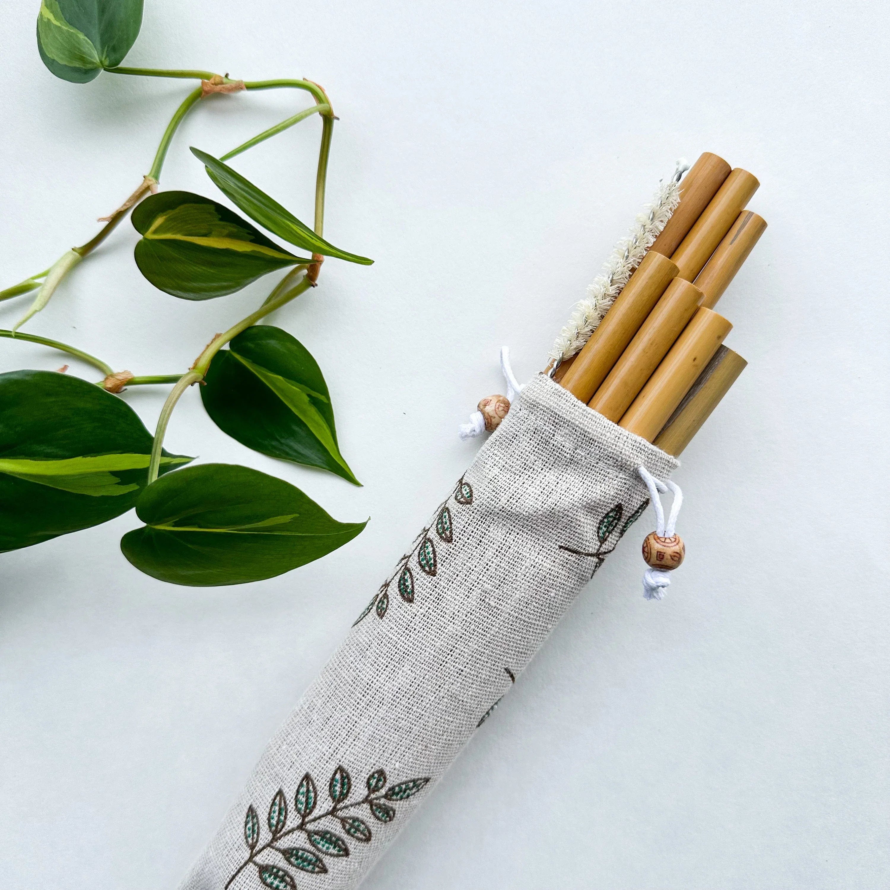 Premium Natural Wood Drinking Straw (10 Pack) - Modern Eco-Design