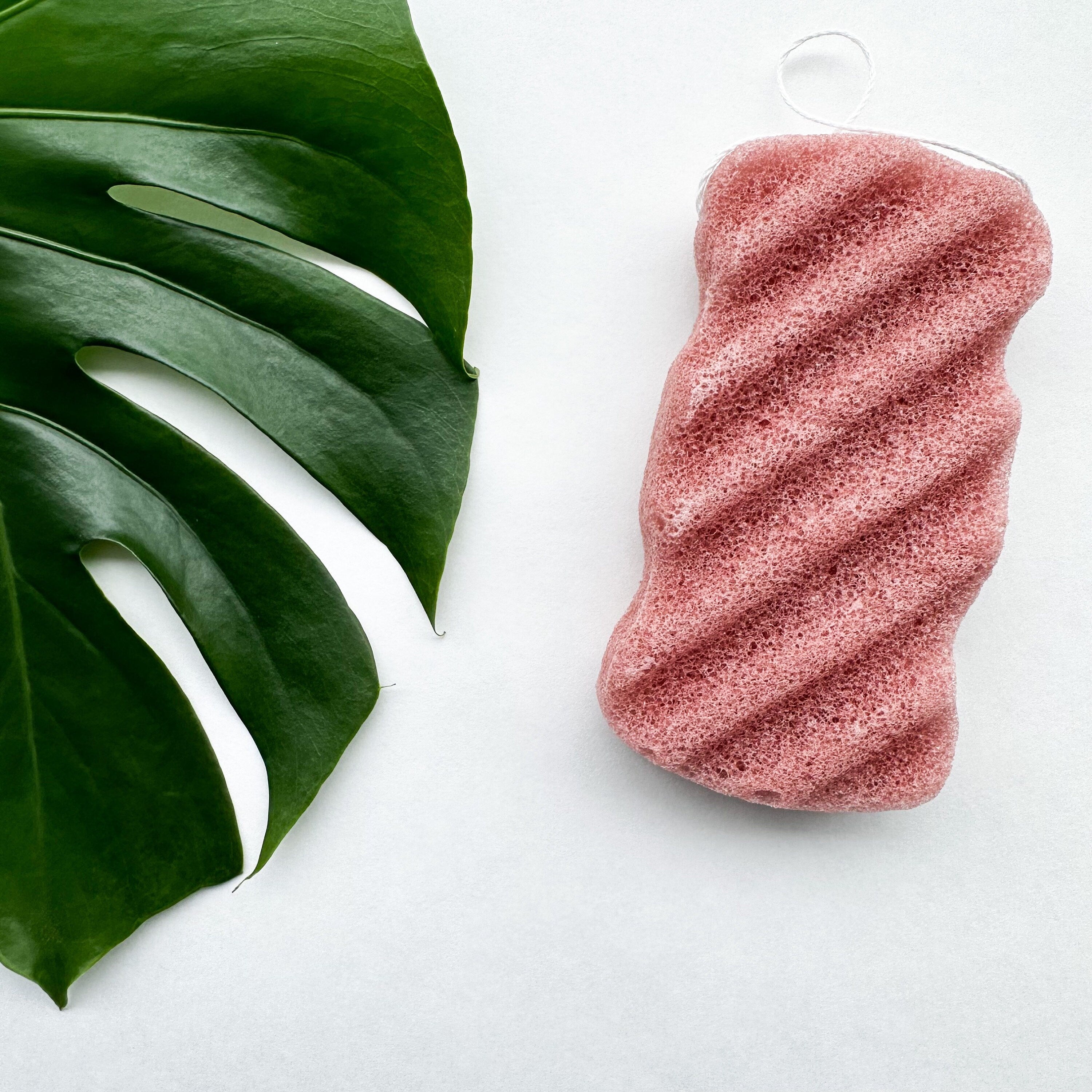 Konjac Body Sponge - Zero Waste Natural Wood Design