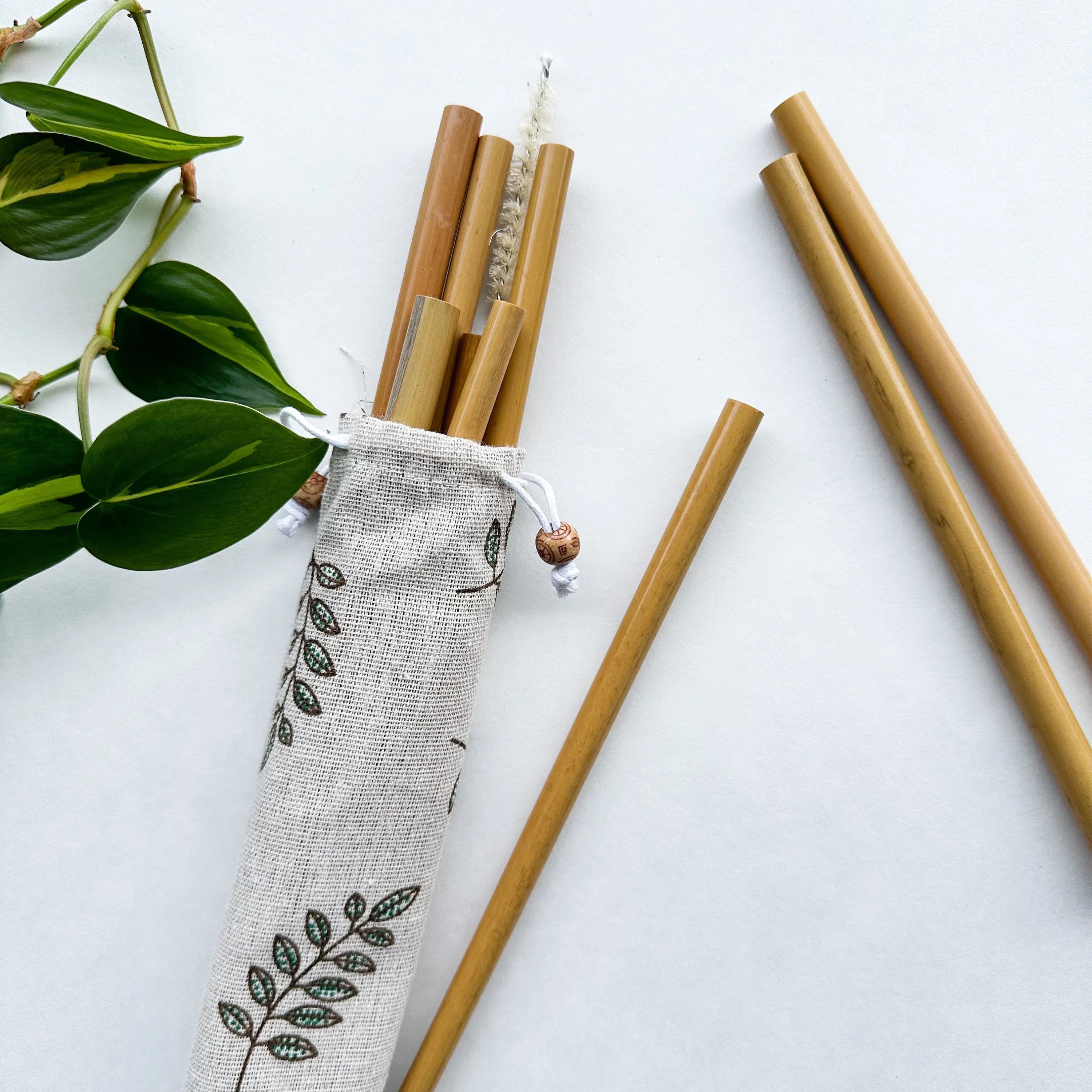 Premium Natural Wood Drinking Straw (10 Pack) - Modern Eco-Design